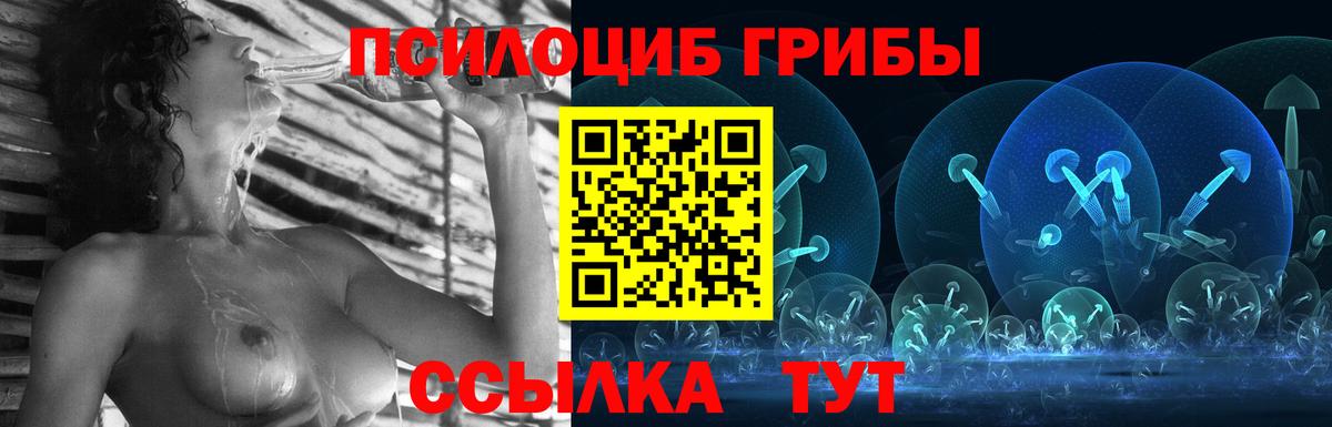 Галлюциногенные грибы Psilocybe Строитель